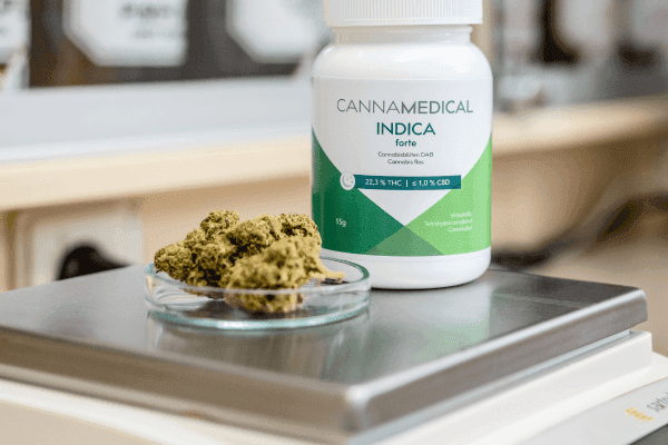 Cannabis-Blüten auf einer Waage.